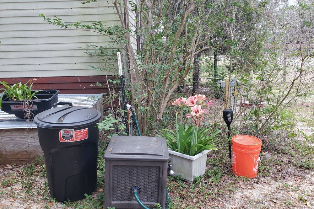 Photo of Outdoor in Lecanto