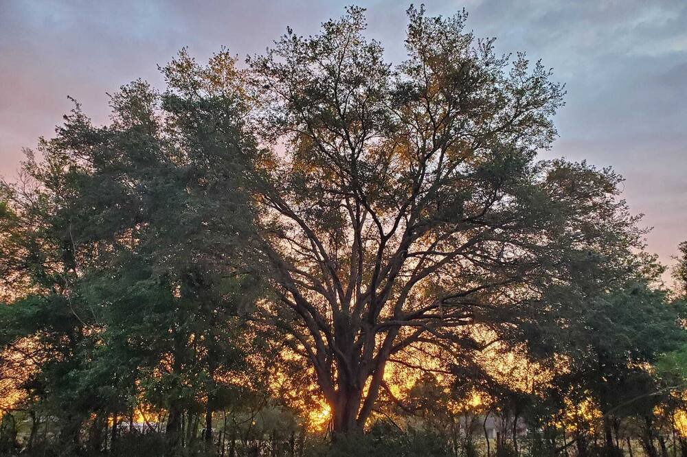 Photo of Outdoor in Lecanto