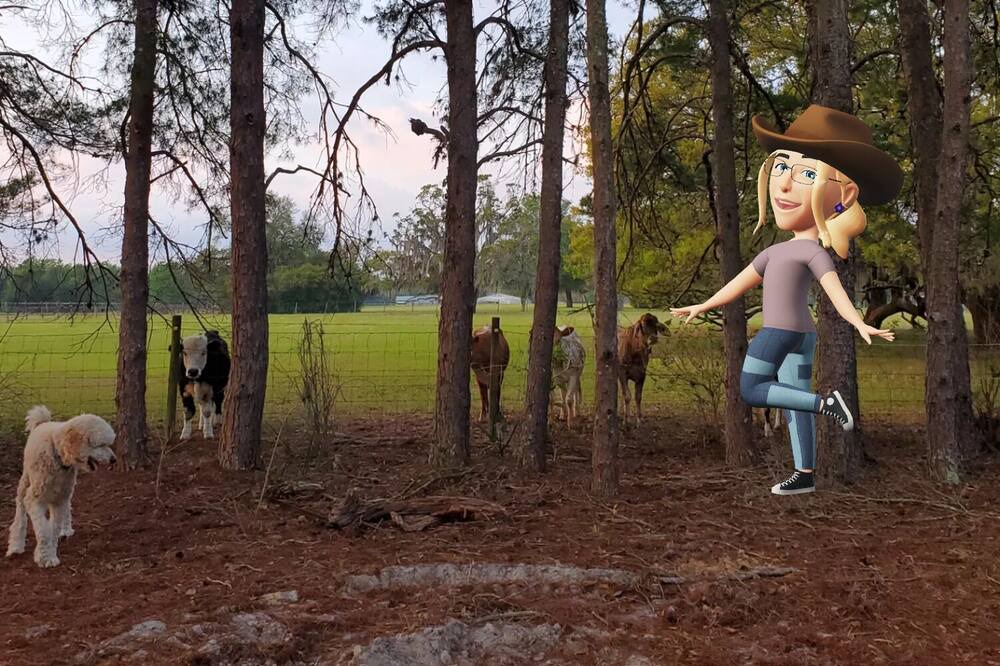 Photo of Others in Lecanto