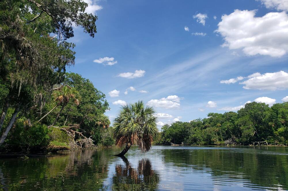 Photo of Outdoor in Lecanto