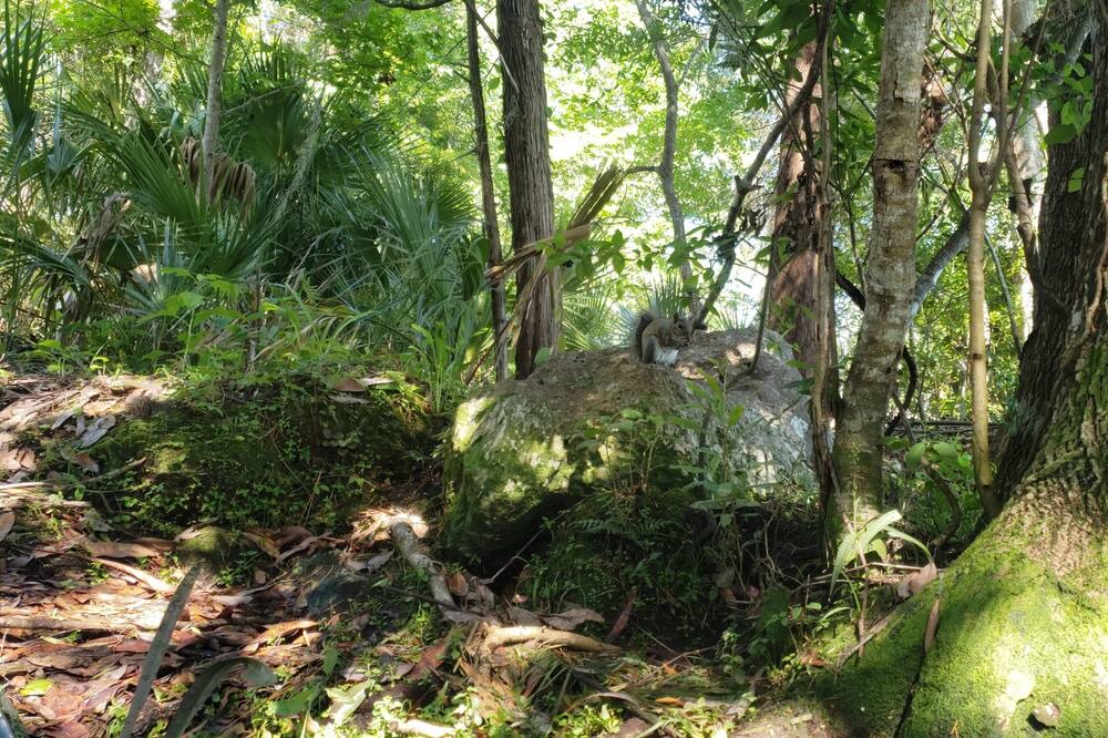 Photo of Outdoor in Lecanto