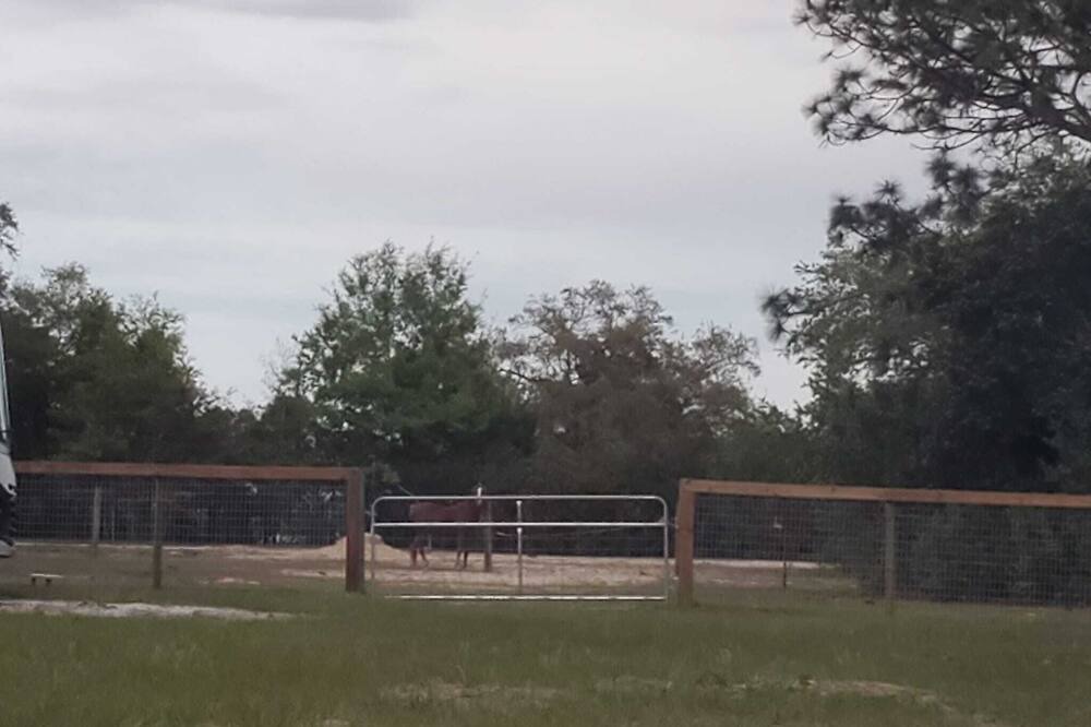 Photo of Outdoor in Lecanto