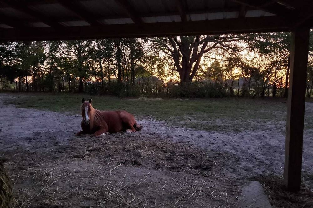 Photo of Outdoor in Lecanto