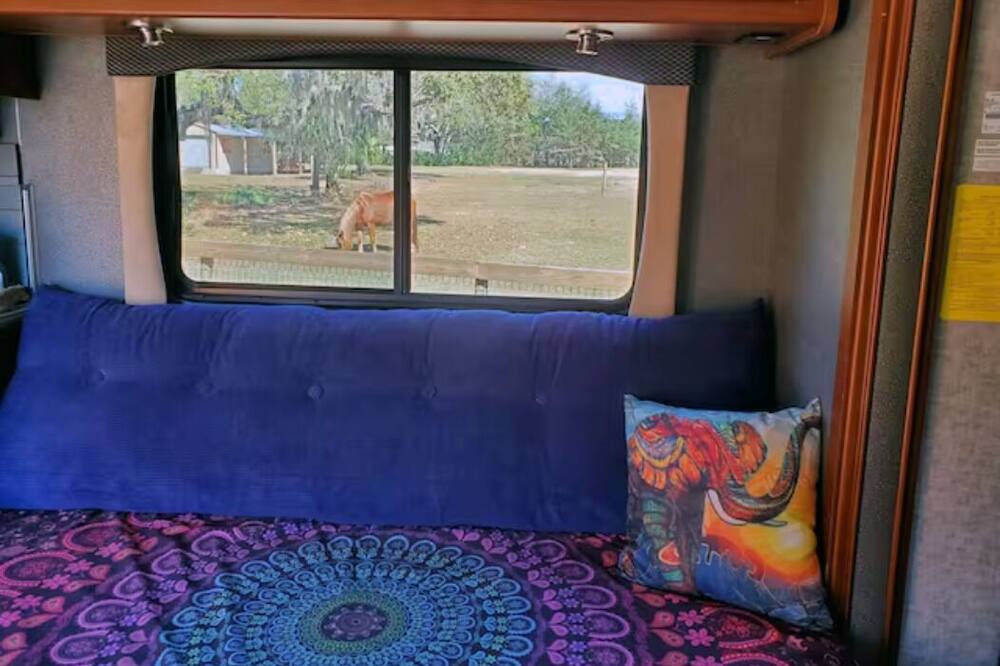 Photo of Livingroom in Lecanto