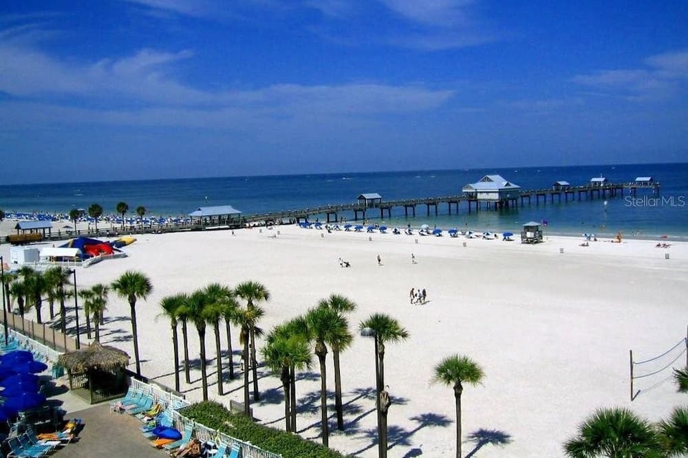 Photo of Others in Oldsmar