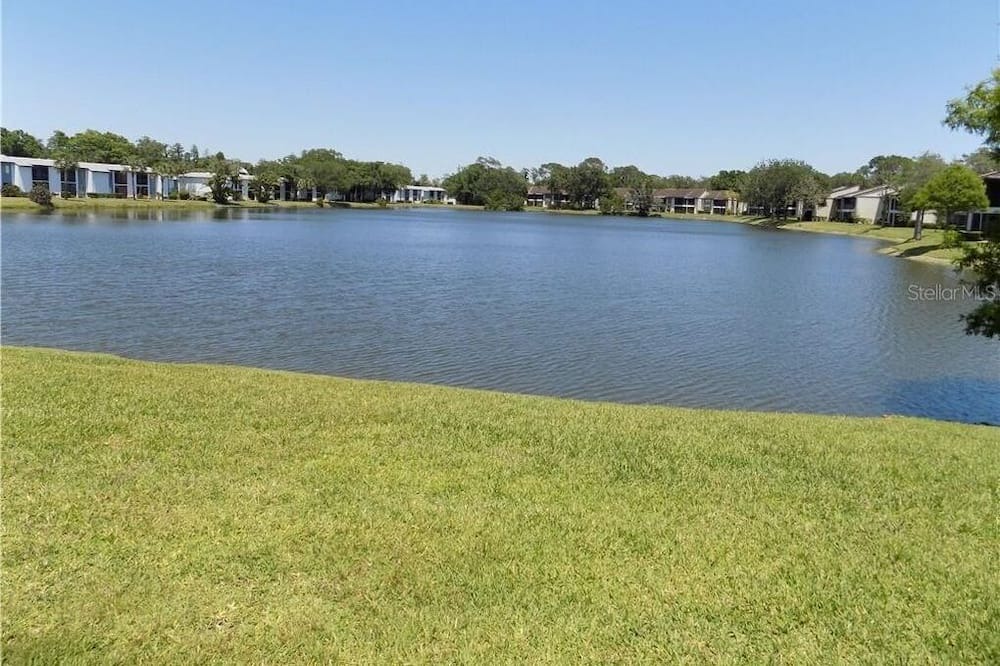 Photo of Others in Oldsmar