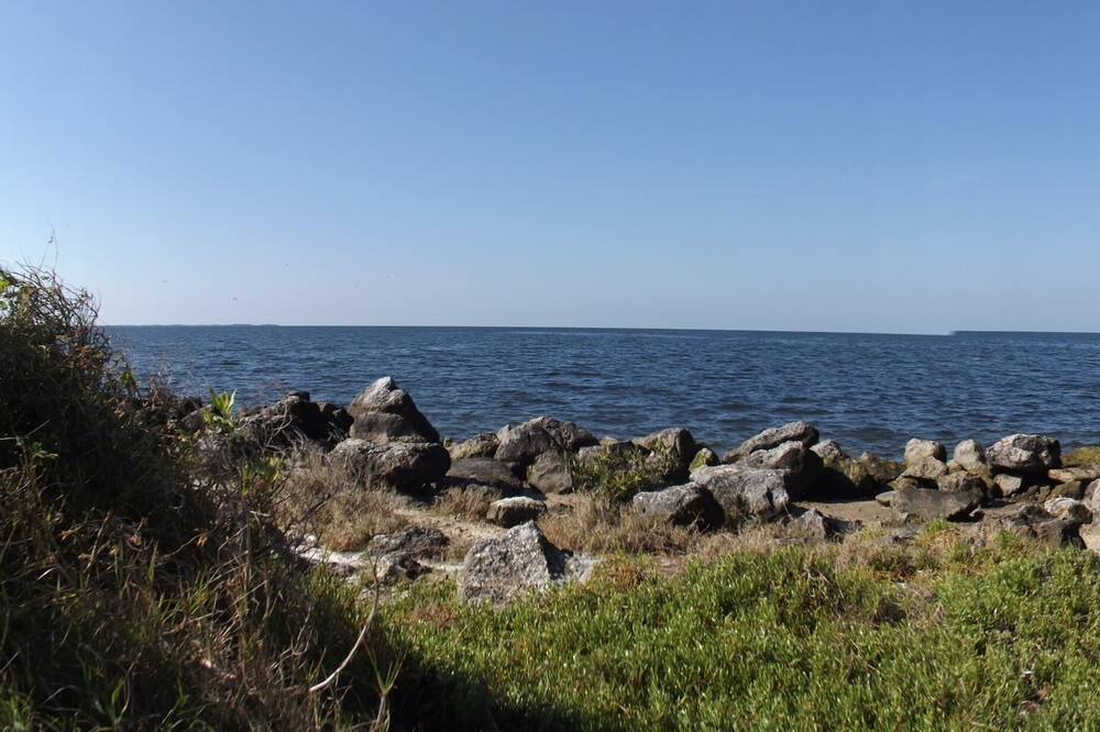 Photo of Others in Crystal River