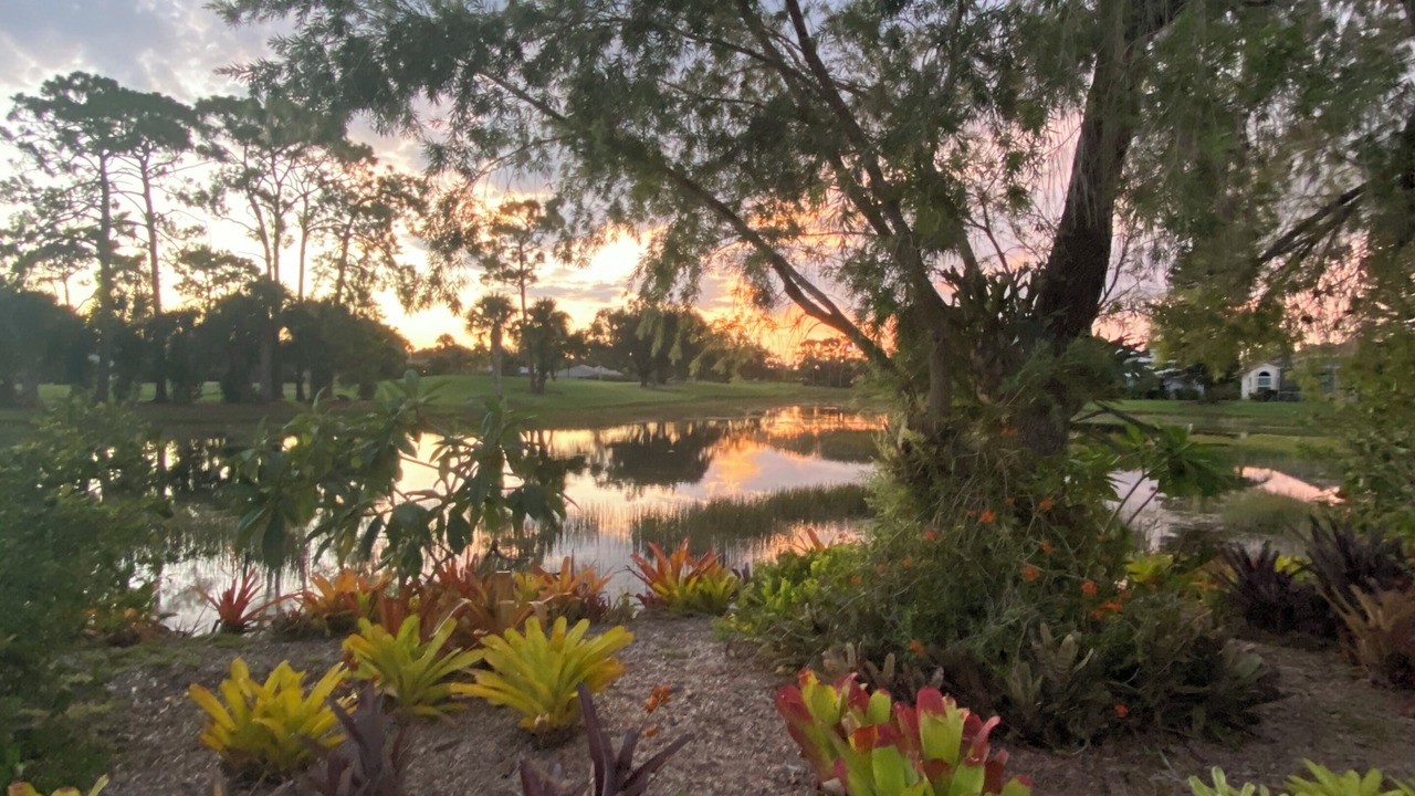 Photo of Outdoor in Lely Golf Estates