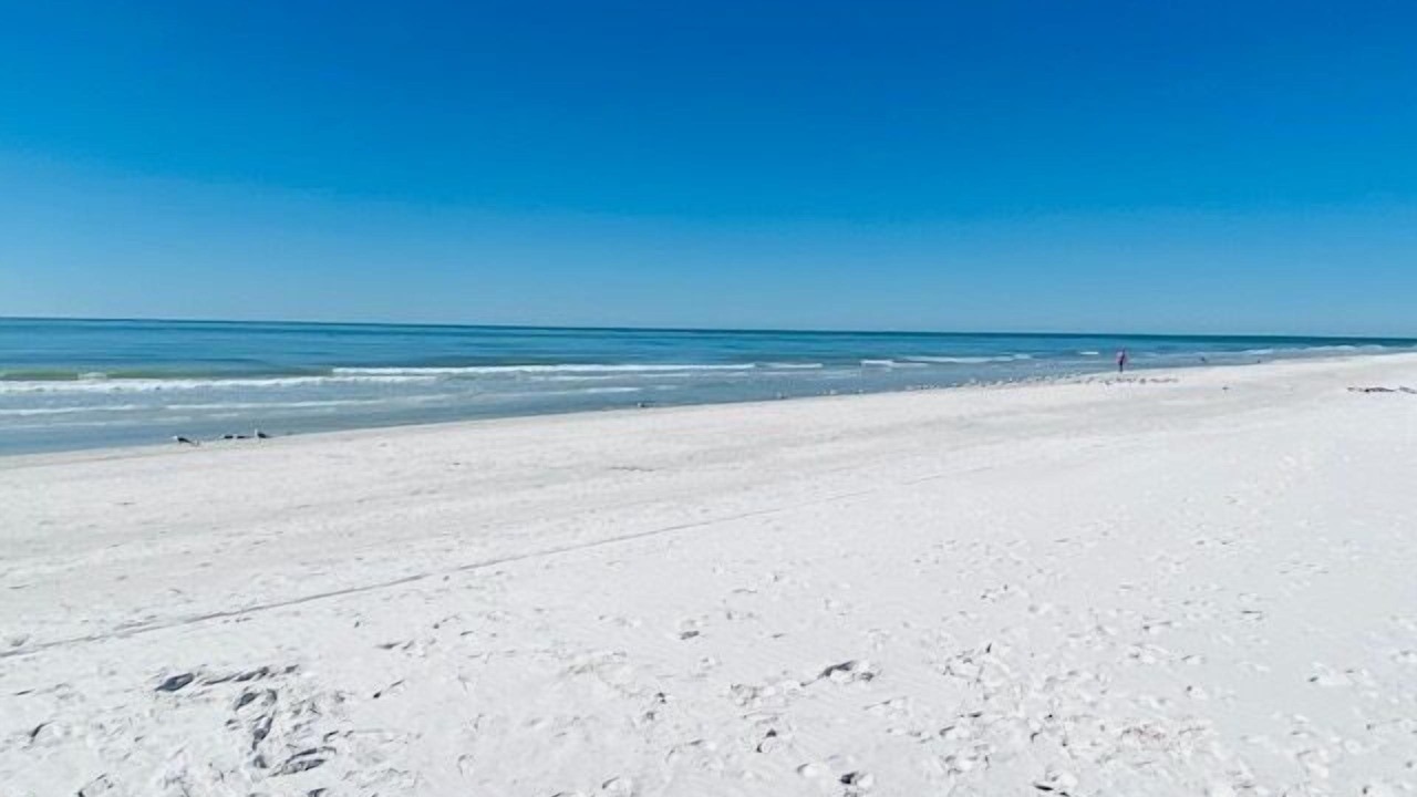 Photo of Others in North Redington Beach