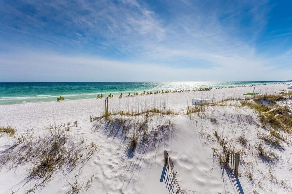Photo of Others in Gulf Pines