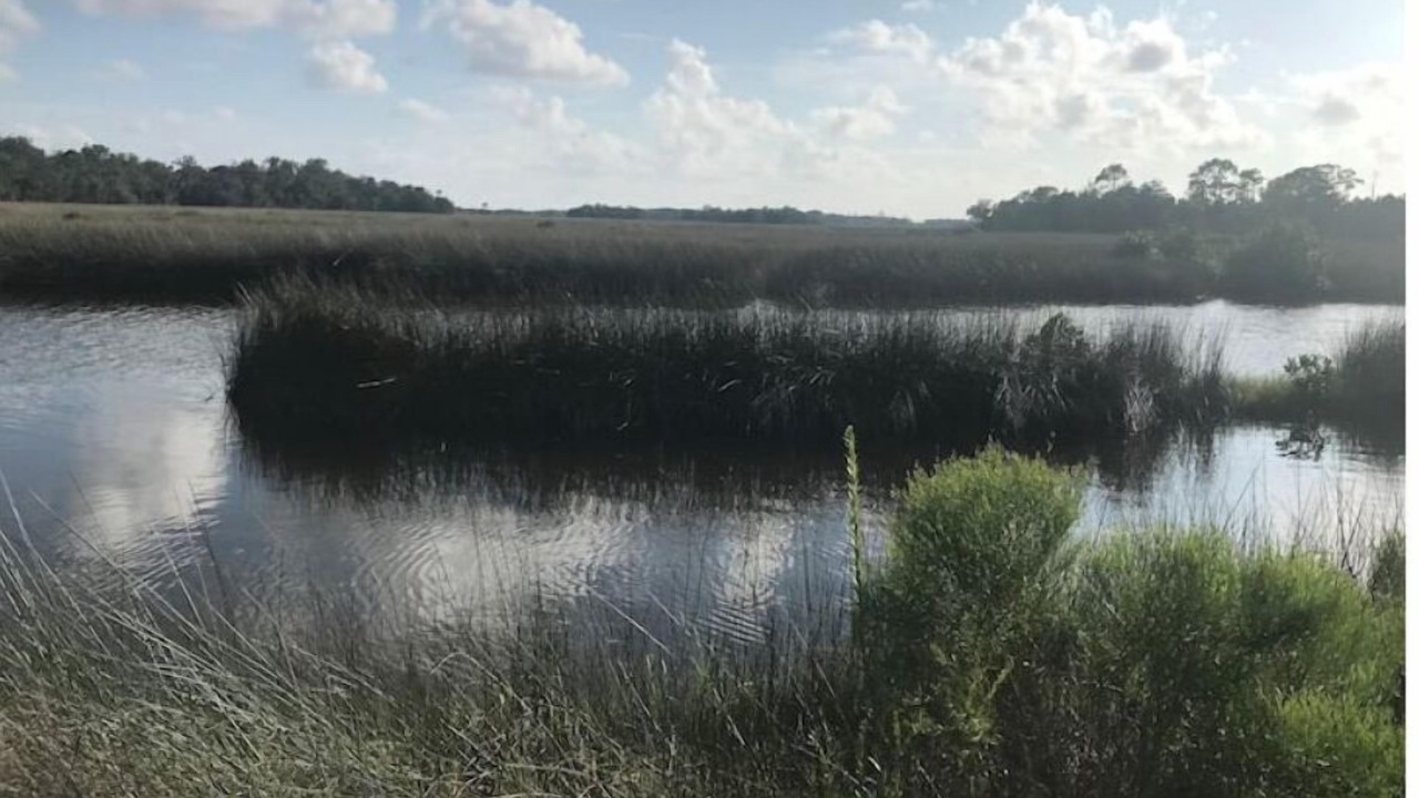 Photo of Outdoor in Dixie Shores