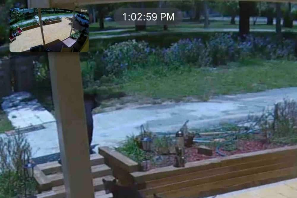Photo of Outdoor in Mount Dora