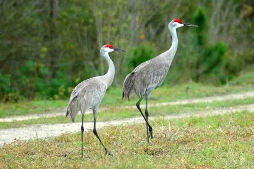 Photo of Others in Mount Dora
