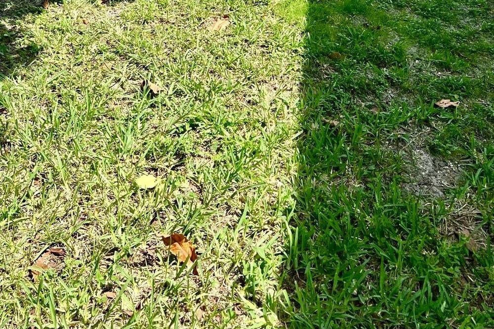Photo of Outdoor in Lauderhill