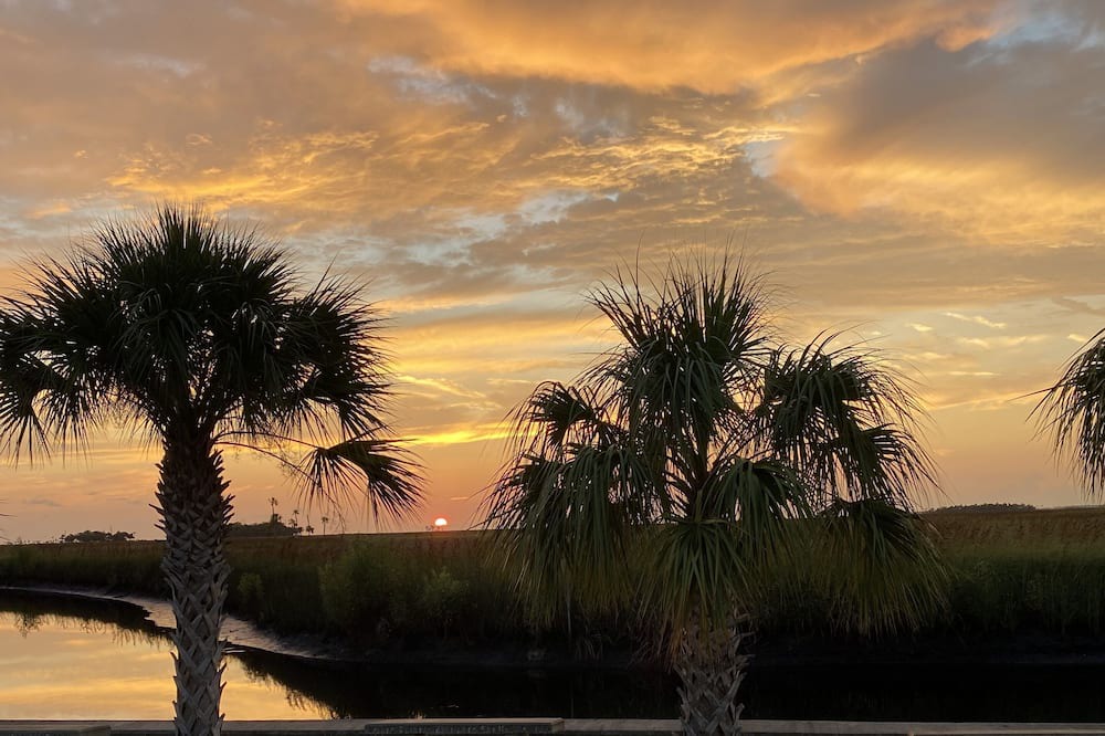 Photo of Outdoor in Suwannee