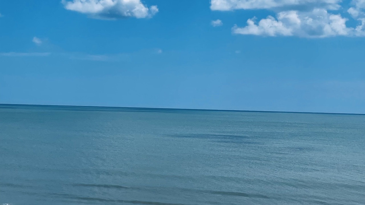 Photo of Others in South Patrick Shores