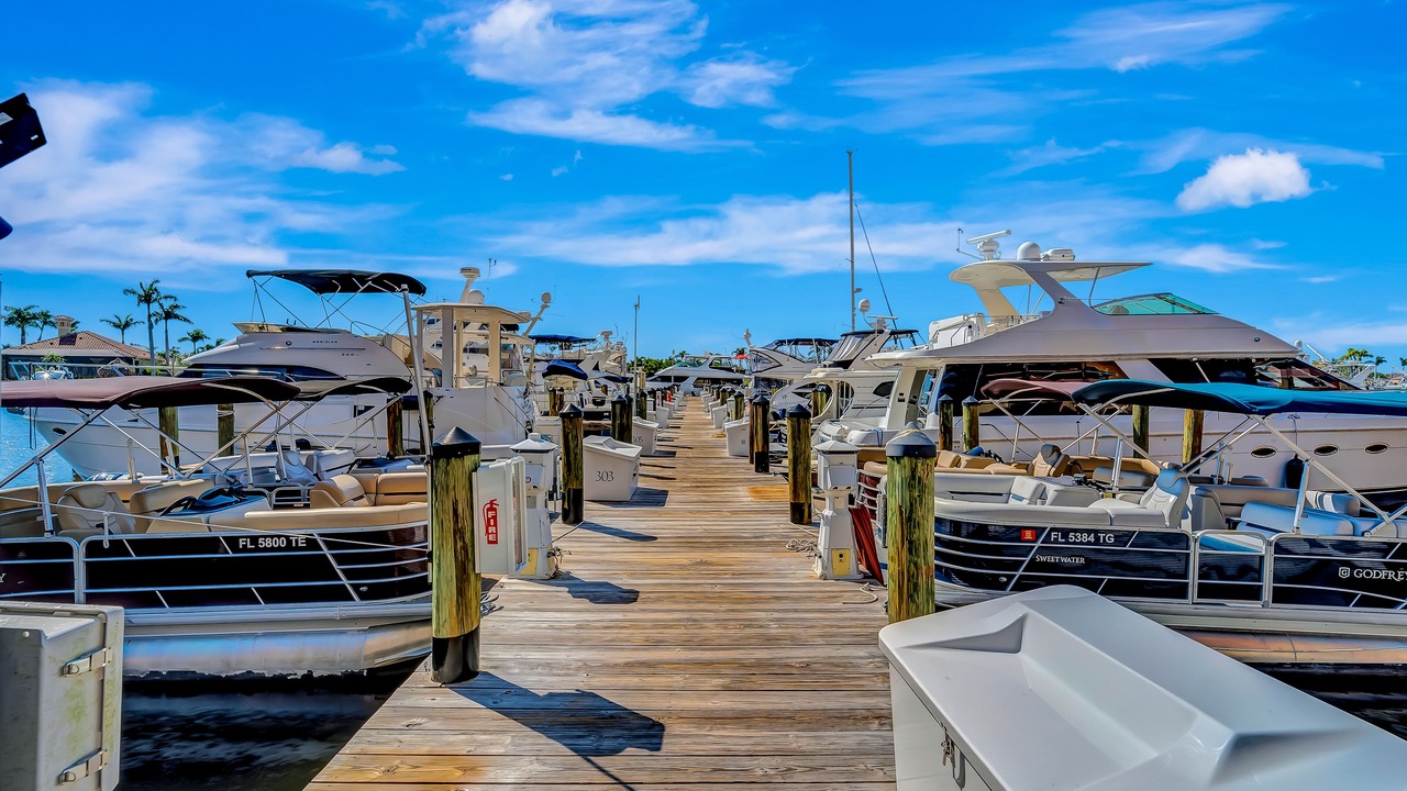 Photo of Others in Cape Harbour