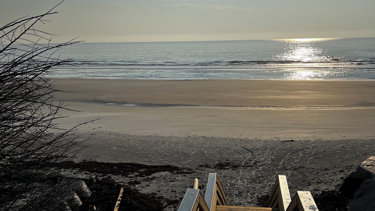 Photo of Others in Daytona Beach Shores