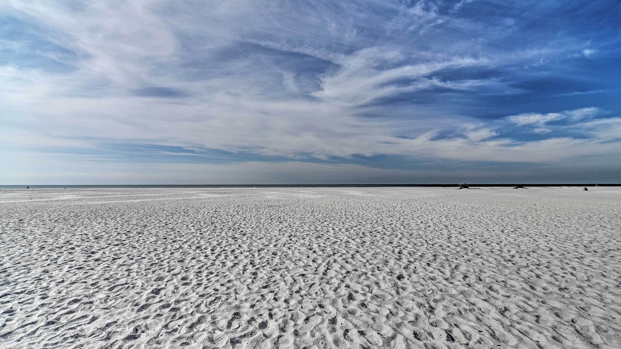 Photo of Others in South Sarasota