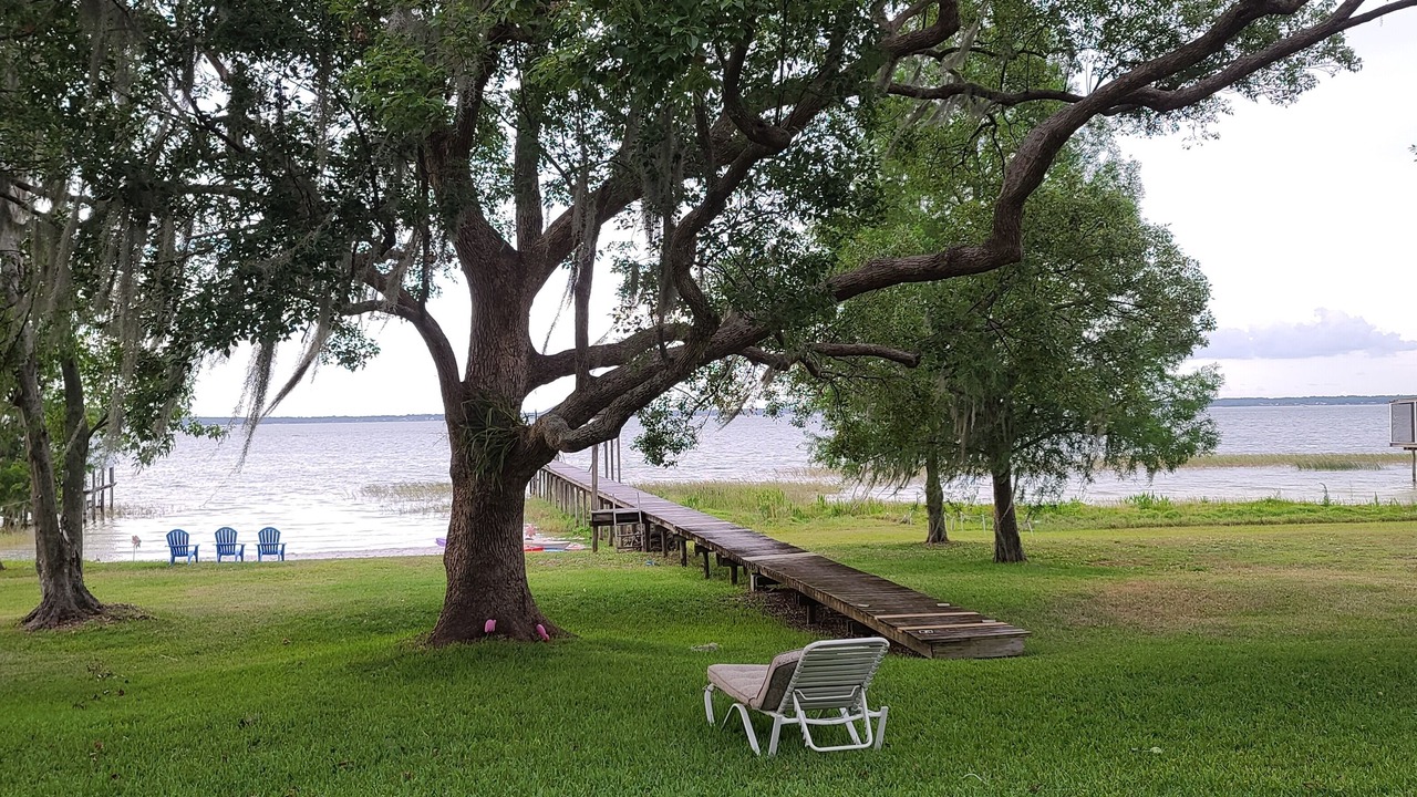 Photo of Outdoor in Weirsdale