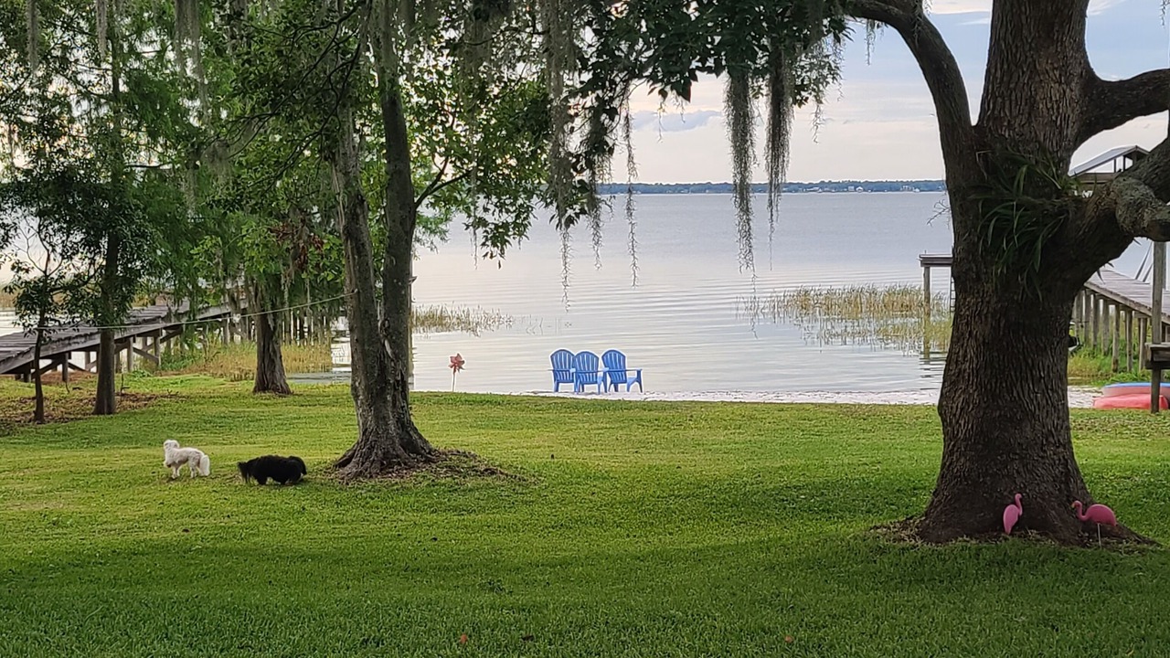 Photo of Outdoor in Weirsdale