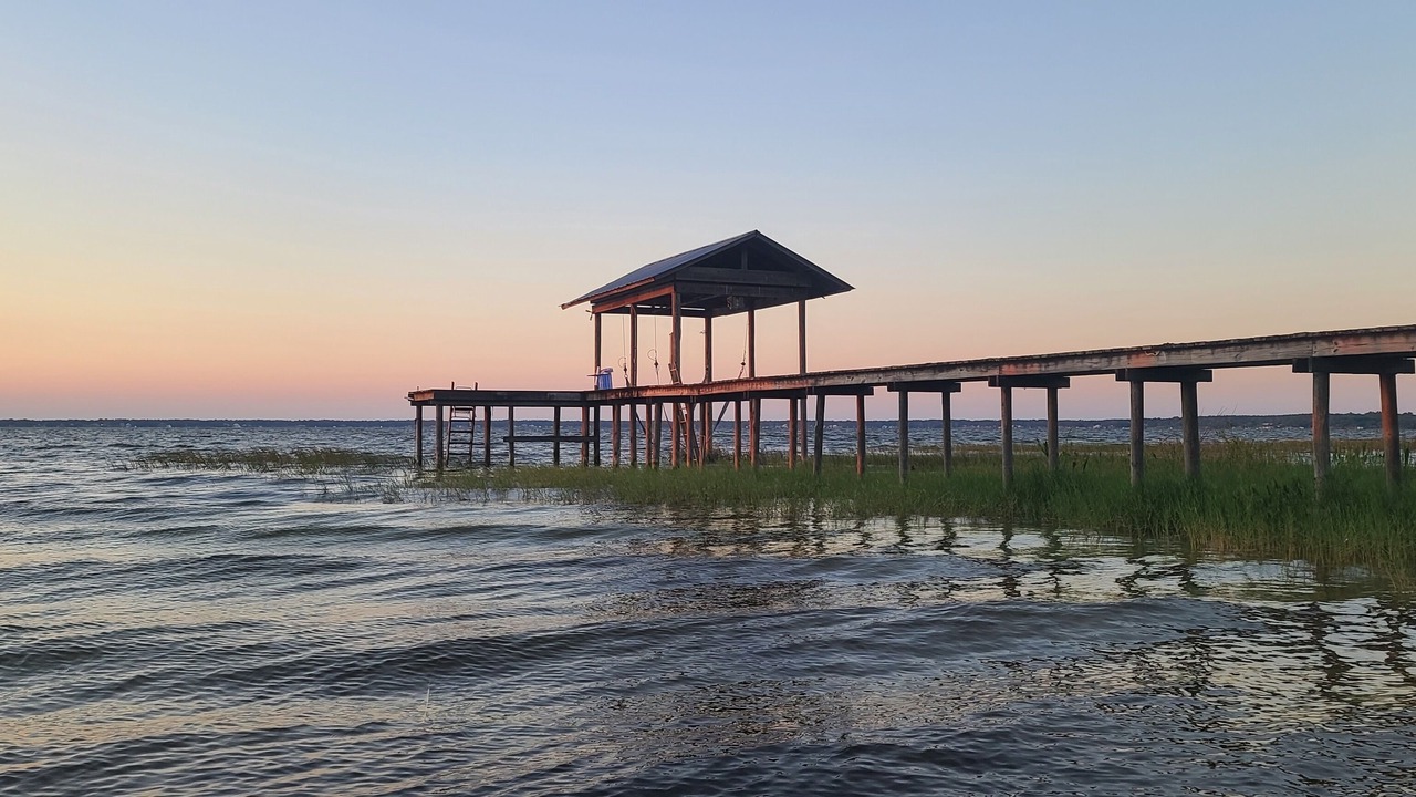 Photo of Others in Weirsdale