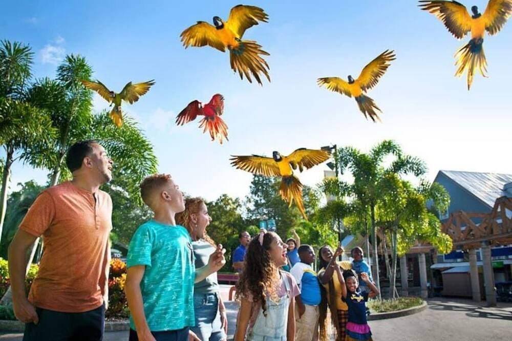 Photo of Others in South Seminole Heights
