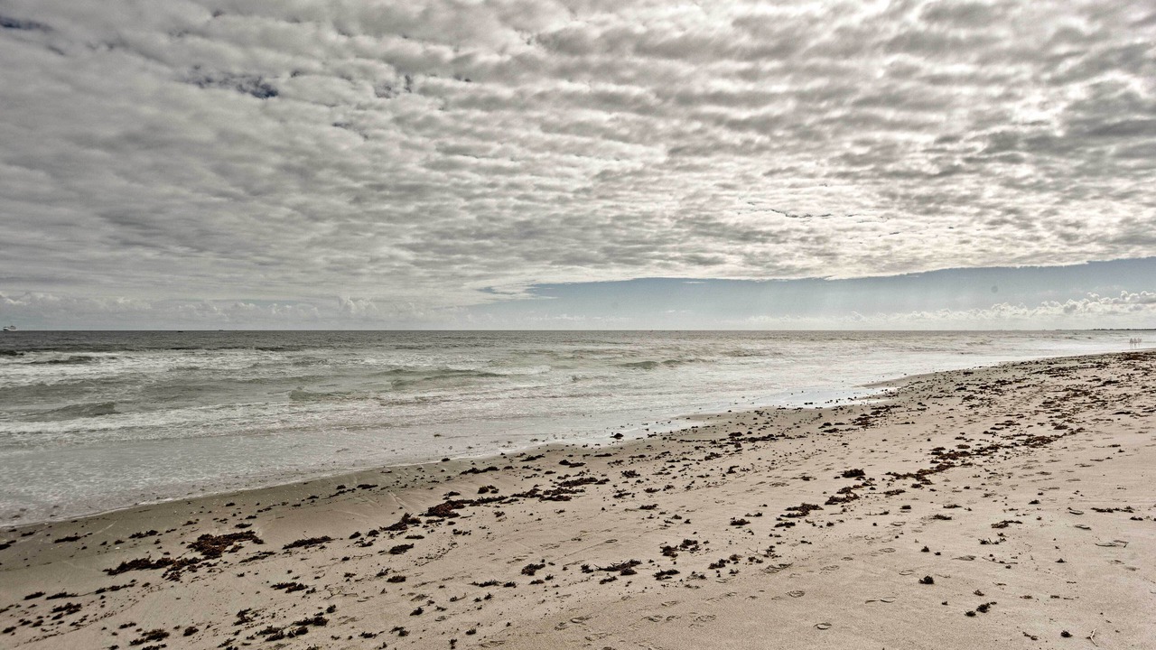 Photo of Others in Port Canaveral