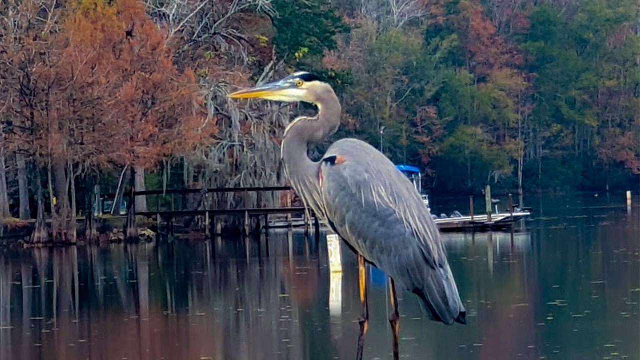 Photo of Others in Eutawville
