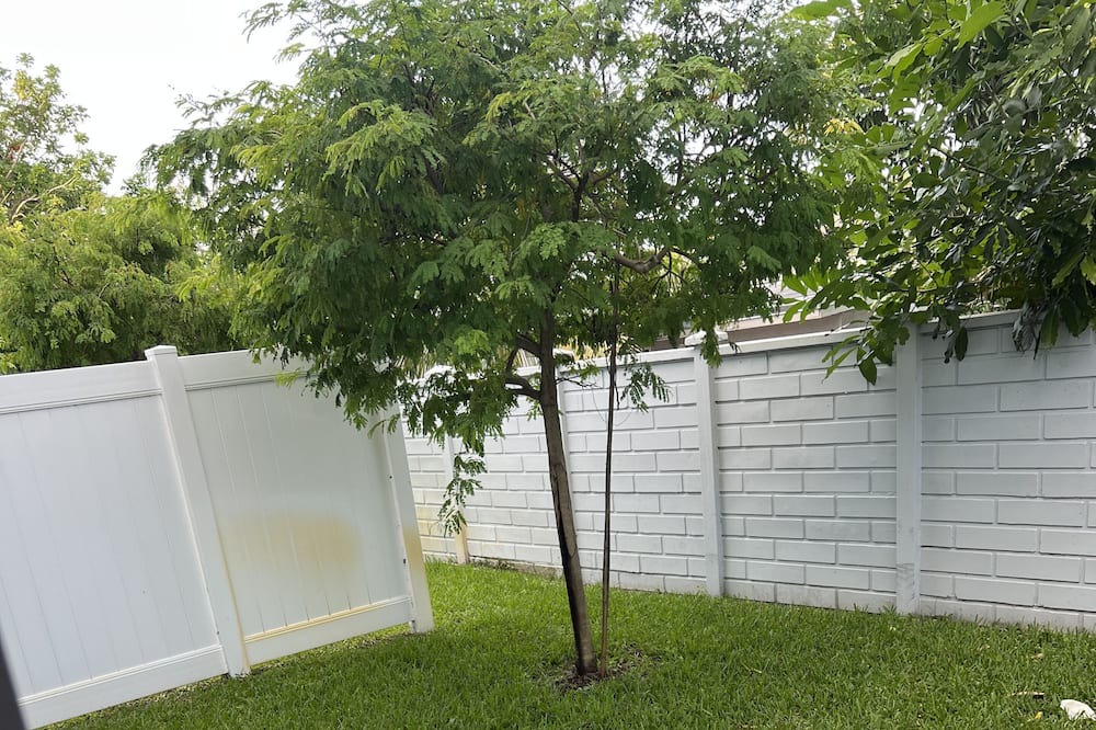 Photo of Outdoor in Carol City