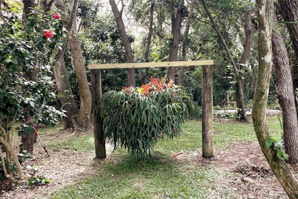 Photo of Outdoor in Florida South Atlantic Coast