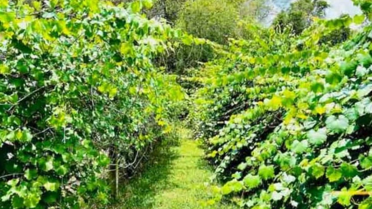 Photo of Outdoor in Florida South Atlantic Coast