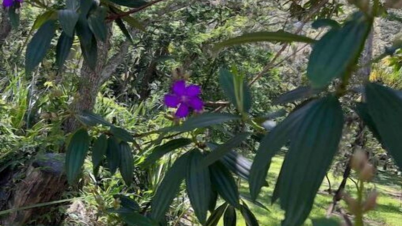 Photo of Outdoor in Florida South Atlantic Coast