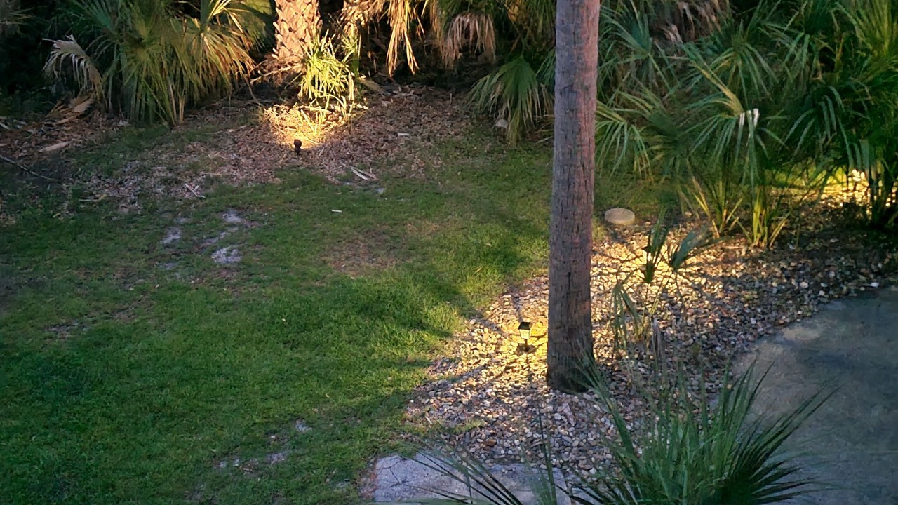 Photo of Outdoor in Blue Heron Lake