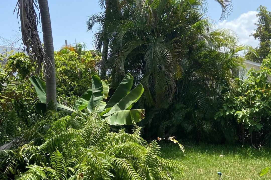 Photo of Outdoor in Seybold