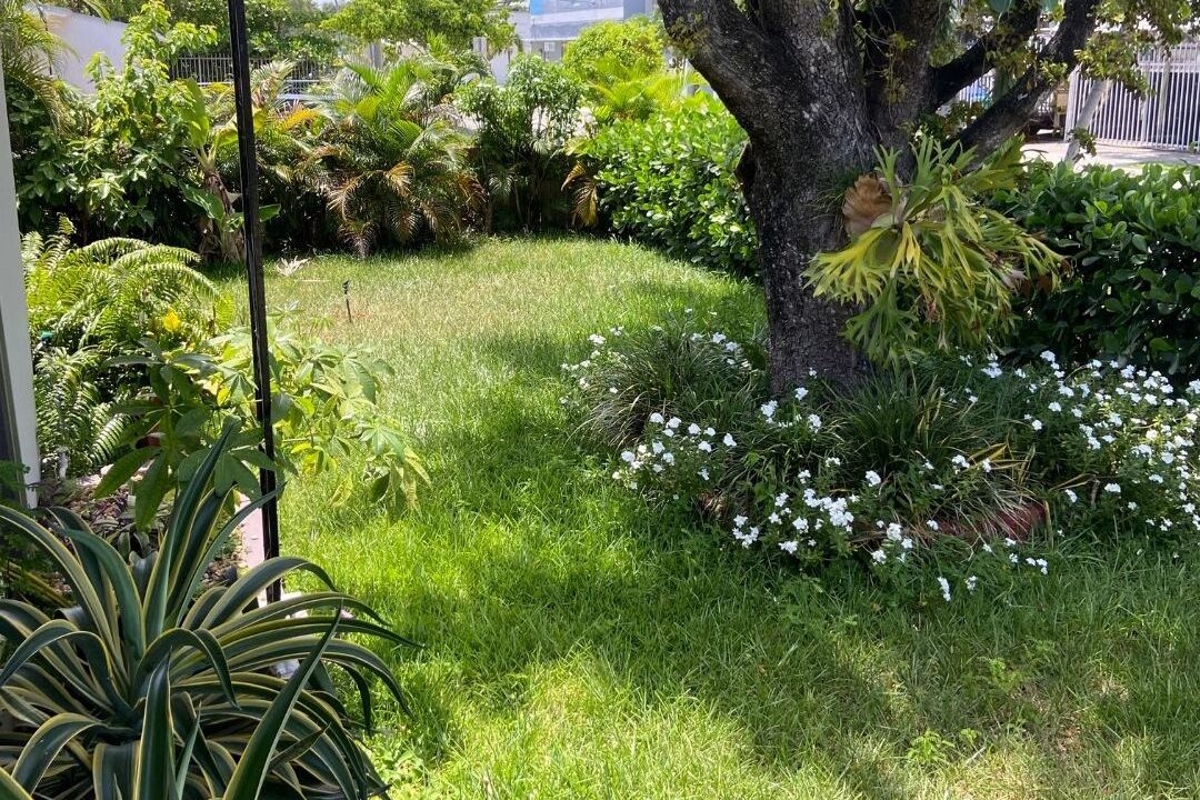 Photo of Outdoor in Seybold