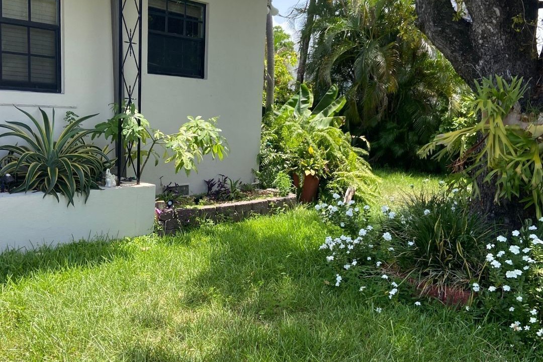 Photo of Outdoor in Seybold