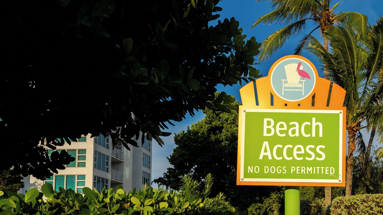 Photo of Outdoor in Bel Air