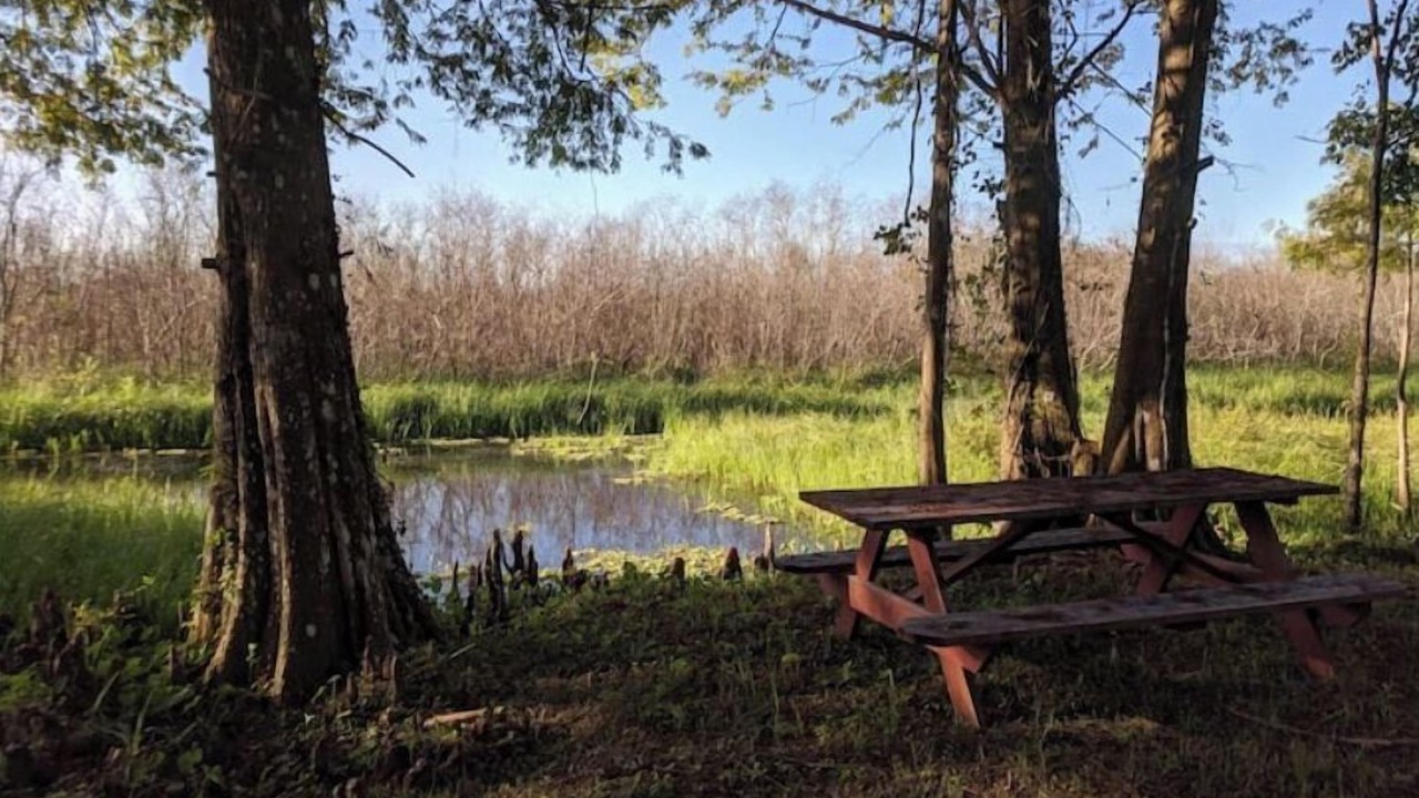 Photo of Outdoor in Floral City