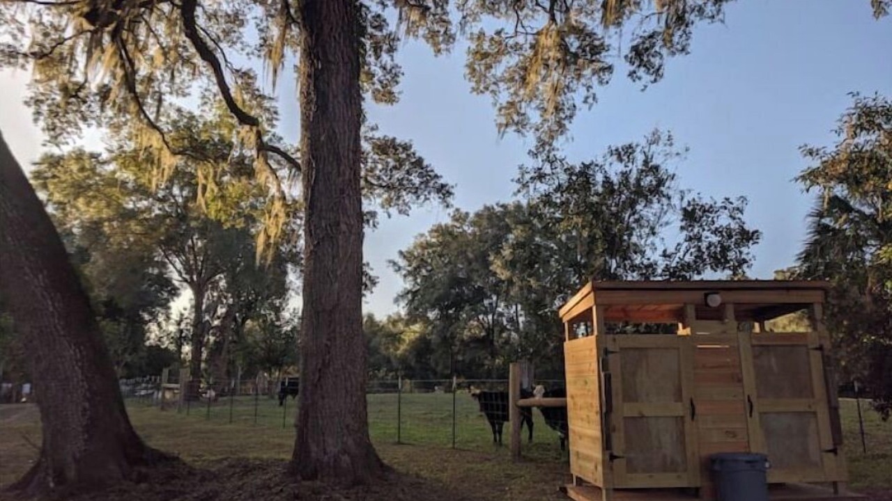 Photo of Outdoor in Floral City