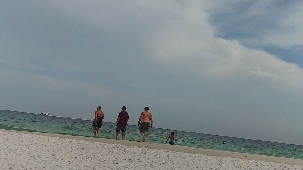 Photo of Others in Bayonet Point