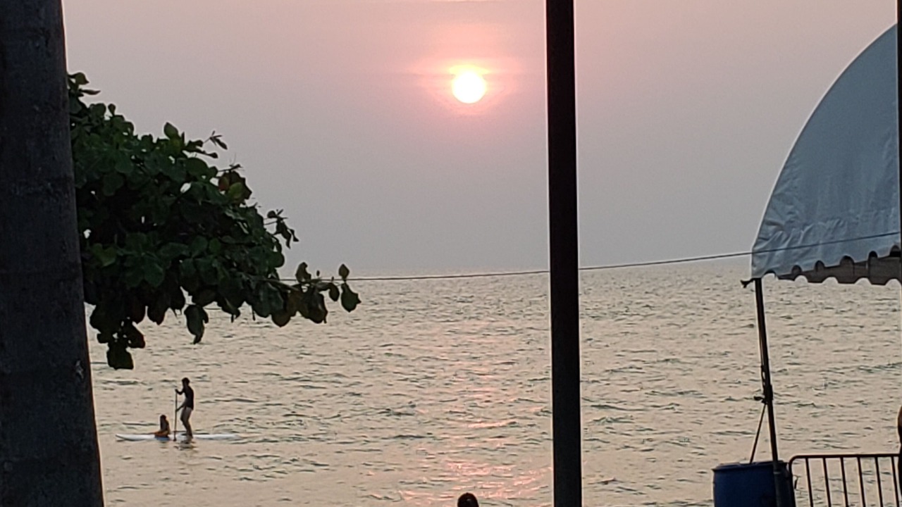 Photo of Outdoor in Bayonet Point