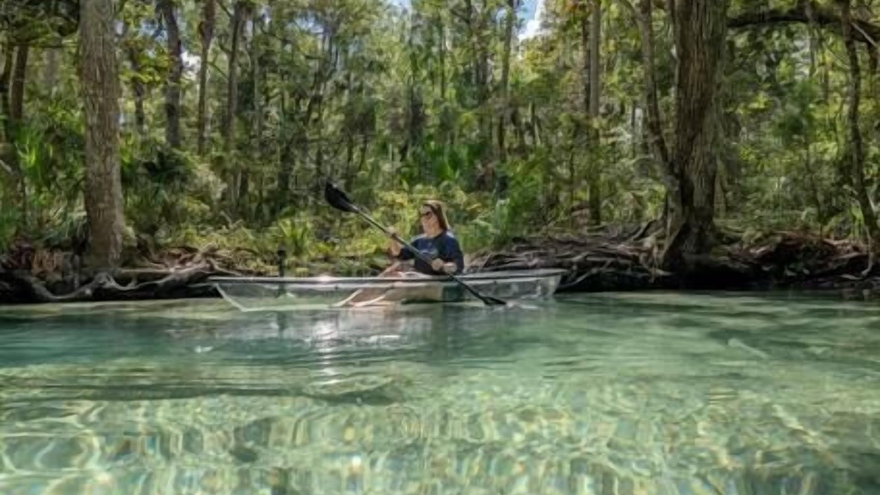 Photo of Others in Chassahowitzka