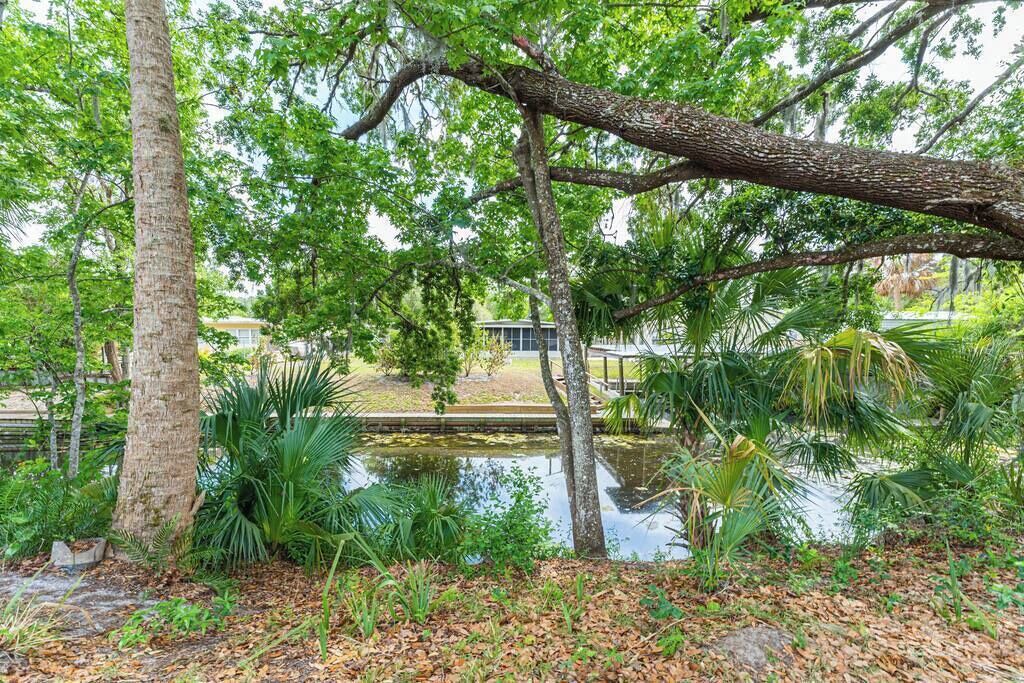 Photo of Outdoor in Chassahowitzka