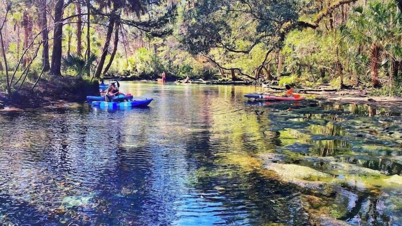 Photo of Others in Chassahowitzka