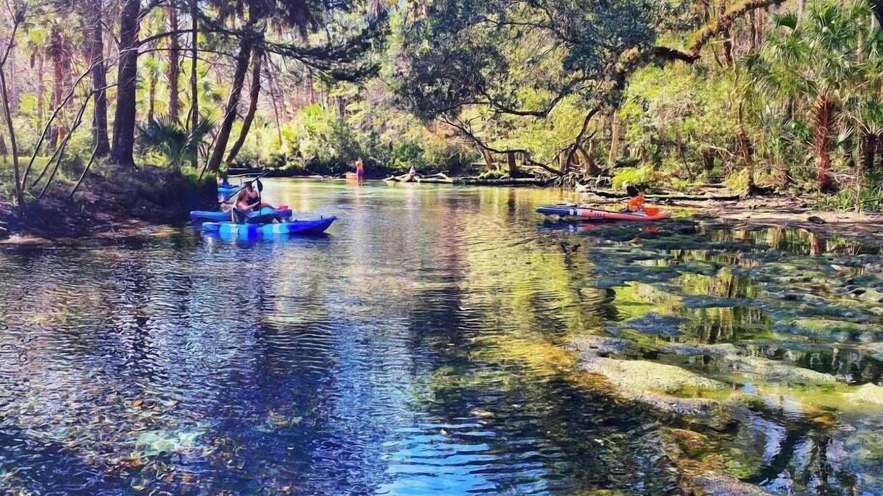 Photo of Others in Chassahowitzka