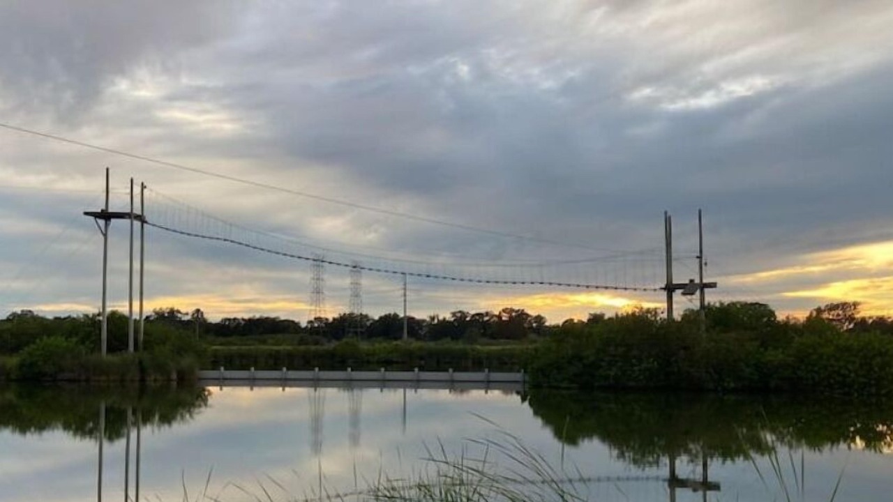 Photo of Others in Oldsmar