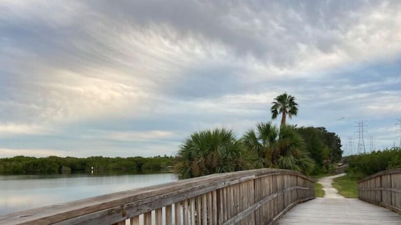 Photo of Others in Oldsmar