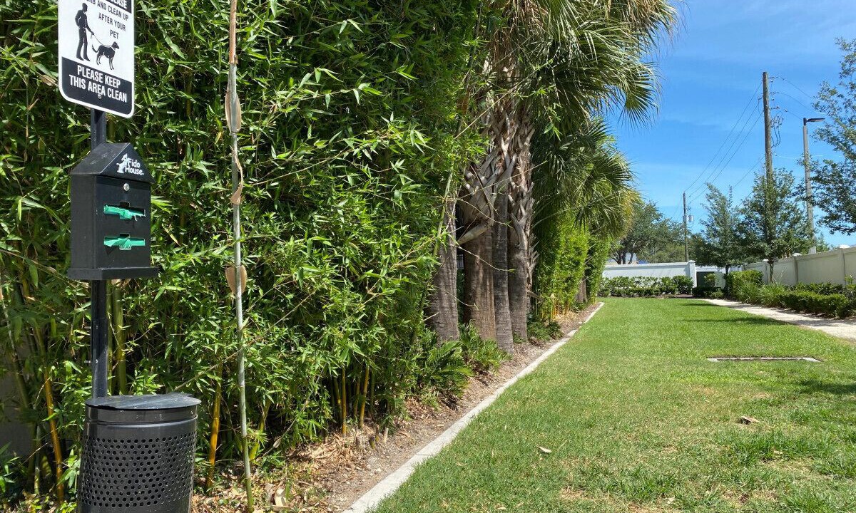 Photo of Outdoor in Carver City - Lincoln Gardens