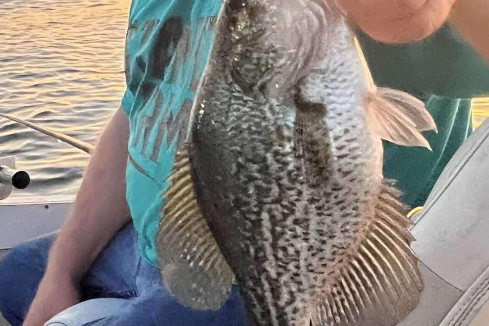 Photo of Outdoor in Okeechobee